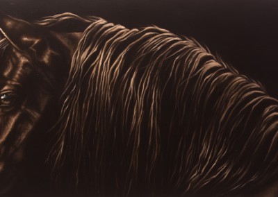 "Friesian Glow", portrait of a friesian horse, original oil painting by Wendy Beresford