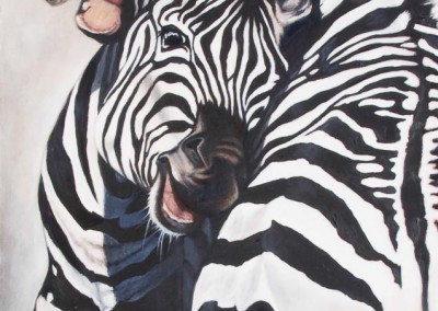 Zebra fighting, original oil painting by Wendy Beresford
