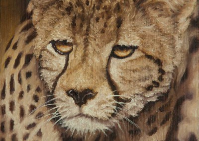 Cheetah, original oil painting miniature on wood by Wendy Beresford