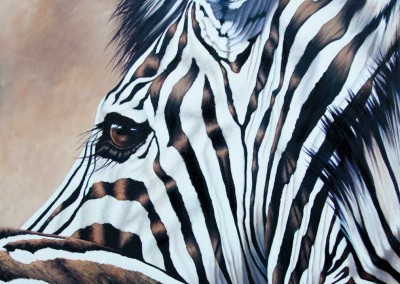"Coquette", zebra profile, original oil painting by Wendy Beresford