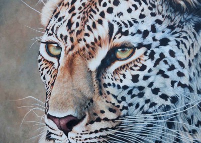 Original Oil painting of leopard portrait "Deep Focus" by Wendy Beresford