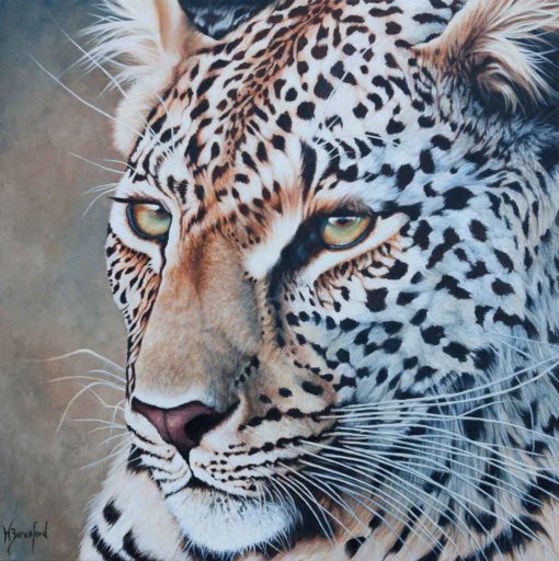 Original Oil painting of leopard portrait "Deep Focus" by Wendy Beresford