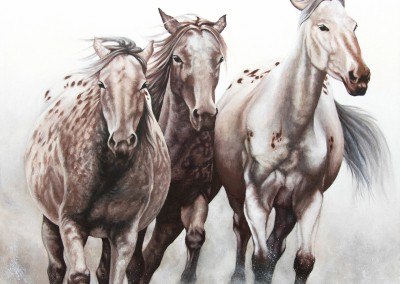 "Mums-in-waiting", three pregnant appaloosa mares, original oil painting by Wendy Beresford