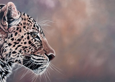 "Endangered", oil painting of leopard profile by Wendy Beresford