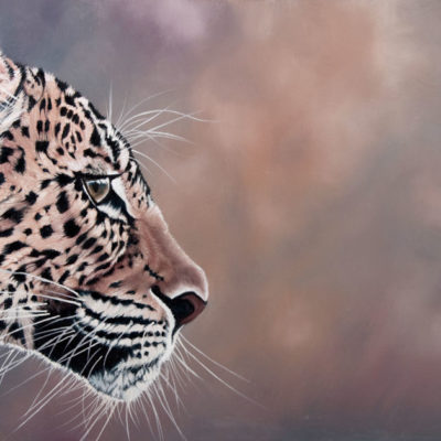 "Endangered", oil painting of leopard profile by Wendy Beresford