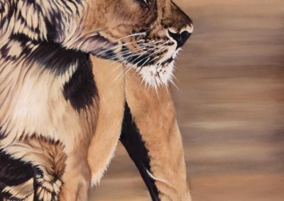 "Evening Patrol", Lioness in evening light, original oil painting by Wendy Beresford
