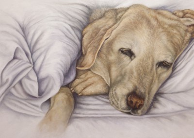"Fridy", labrador portrait, original oil painting by Wendy Beresford