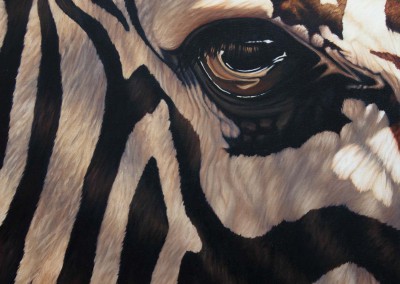 "Line of Sight", oil painting of closeup of zebra eye by Wendy Beresford