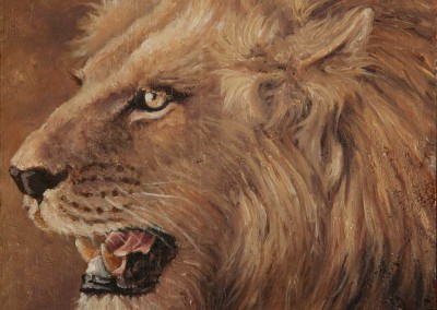 Male Lion portrait, original oil painting miniature on wood by Wendy Beresford