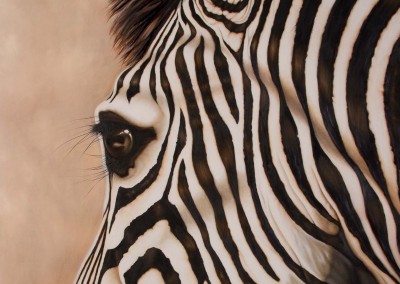 "Minstrel", zebra closeup, original oil painting by Wendy Beresford