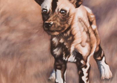 "New World" by Wendy Beresford, oil painting of an African wild dog puppy