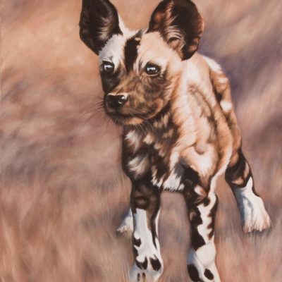 "New World" by Wendy Beresford, oil painting of an African wild dog puppy