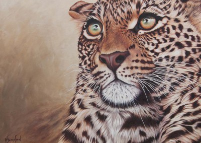 "Provoked", young leopard portrait in oils by Wendy Beresford
