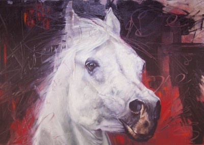 "Sovereign State", white horse portrait on red, original oil painting by Wendy Beresford