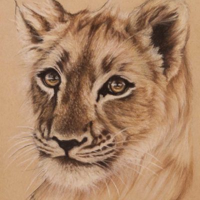 Lion cub portrait, original pastel drawing on Strathmore Artist paper, by Wendy Beresford