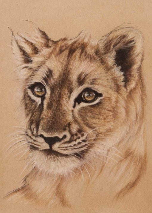 Lion cub portrait, original pastel drawing on Strathmore Artist paper, by Wendy Beresford