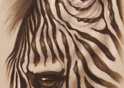 Zebra eye closeup, original pastel drawing on Strathmore Artist paper by Wendy Beresford