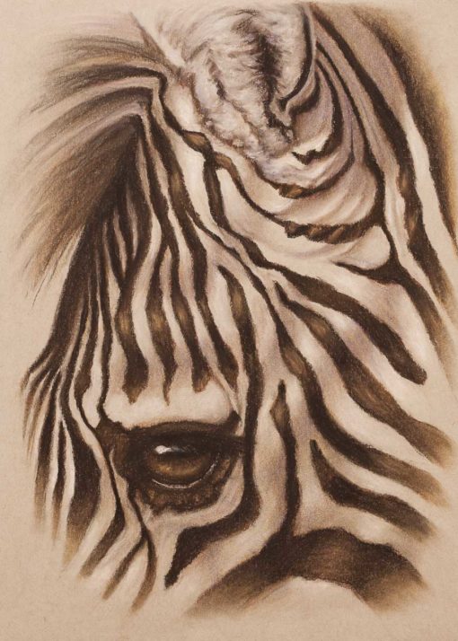 Zebra eye closeup, original pastel drawing on Strathmore Artist paper by Wendy Beresford