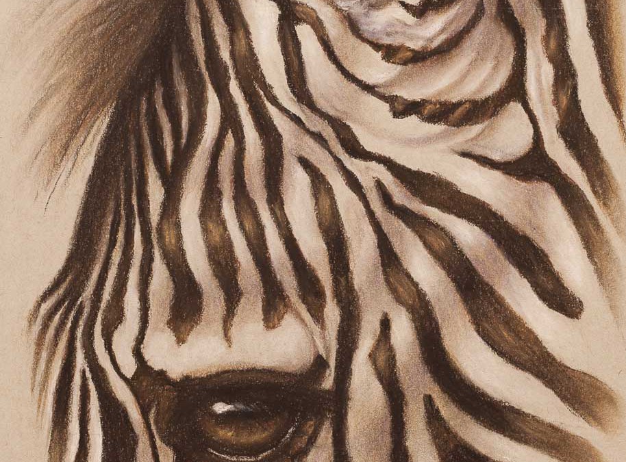 Zebra Eye