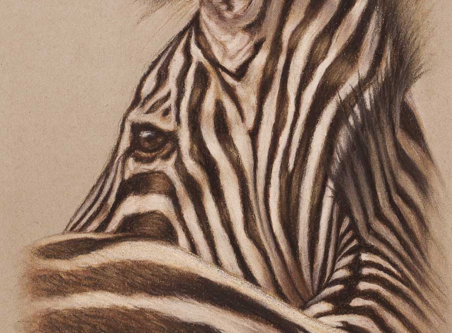 Zebra Profile