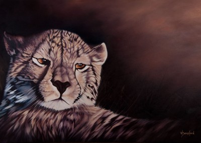 "Sundowner", cheetah reclining in evening light, original oil painting by Wendy Beresford