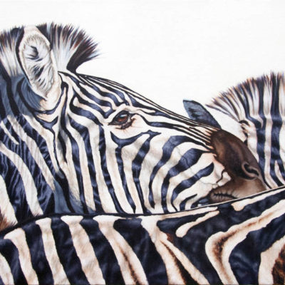 "The Herd", zebras, original oil painting by Wendy Beresford