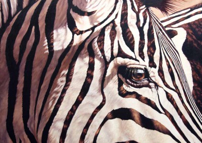 "Their Perspective" by Wendy Beresford, oil painting zebra portrait