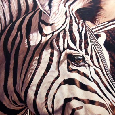 "Their Perspective" by Wendy Beresford, oil painting zebra portrait