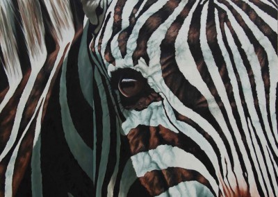 "Up Close and Personal", zebra portrait, original oil painting by Wendy Beresford