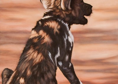 "Vigil for Mum", wild dog puppy, original oil painting by Wendy Beresford