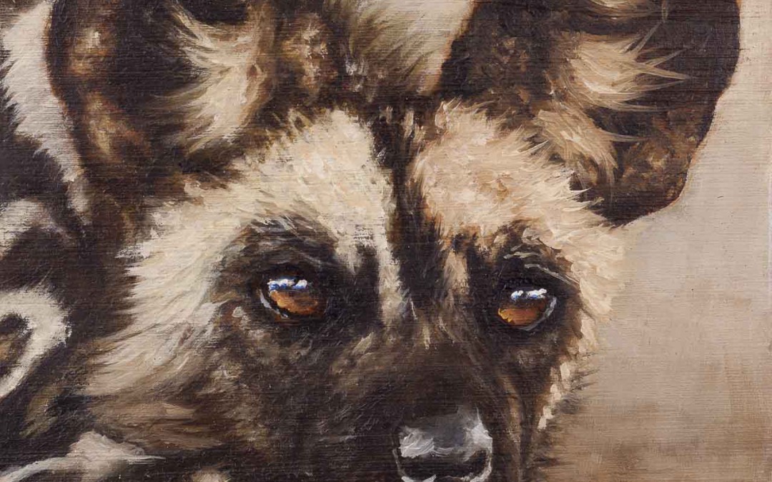 Wild Dog Miniature