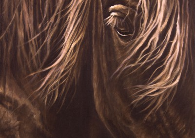 "Sunlit Bay", closeup portrait of a bay horse, original oil painting by Wendy Beresford