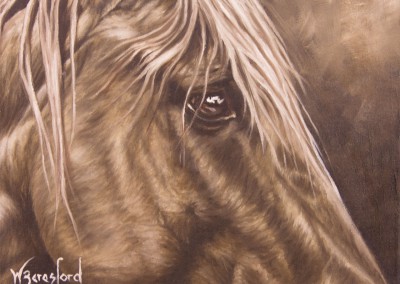 "Golden", portrait of a chestnut horse in monochrome, original oil painting by Wendy Beresford