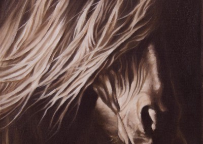 "Dark Horse", closeup portrait of a friesian horse, original oil painting by Wendy Beresford