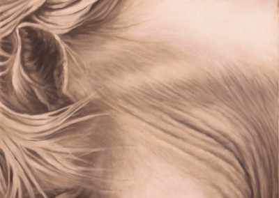 "Grey Grace", closeup portrait of a grey horse, original oil painting by Wendy Beresford