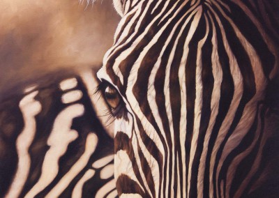 "Through the Looking Glass", oil painting of zebra close up by Wendy Beresford