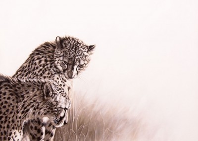 "Vanabhudhi", Monochrome painting of two cheetahs, oil on canvas, by Wendy Beresford