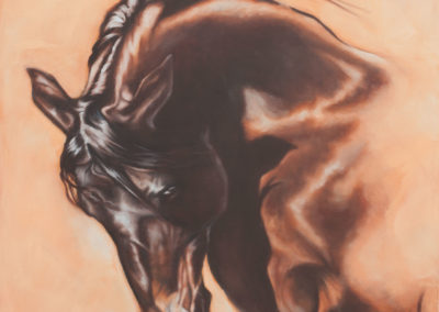 "Phoenix Rising" portrait of a bay horse in oils by Wendy Beresford