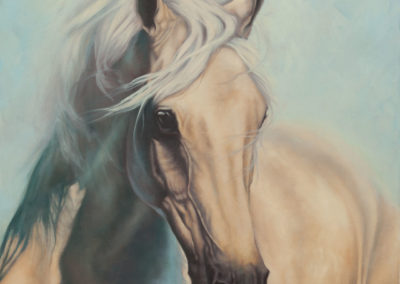 "Water Sprite", portrait in oils of palomino horse by Wendy Beresford
