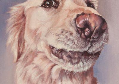 "Angel", golden retriever portrait, oil painting by Wendy Beresford