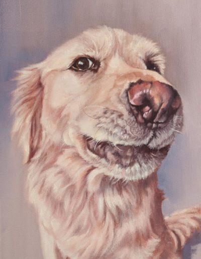 "Angel", golden retriever portrait, oil painting by Wendy Beresford