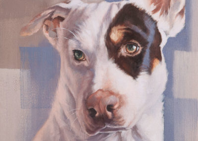 "Jack" dog portrait, oil painting by Wendy Beresford
