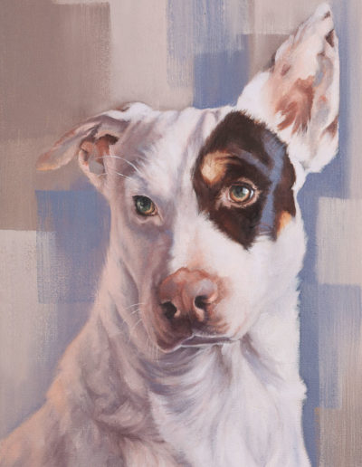 "Jack" dog portrait, oil painting by Wendy Beresford