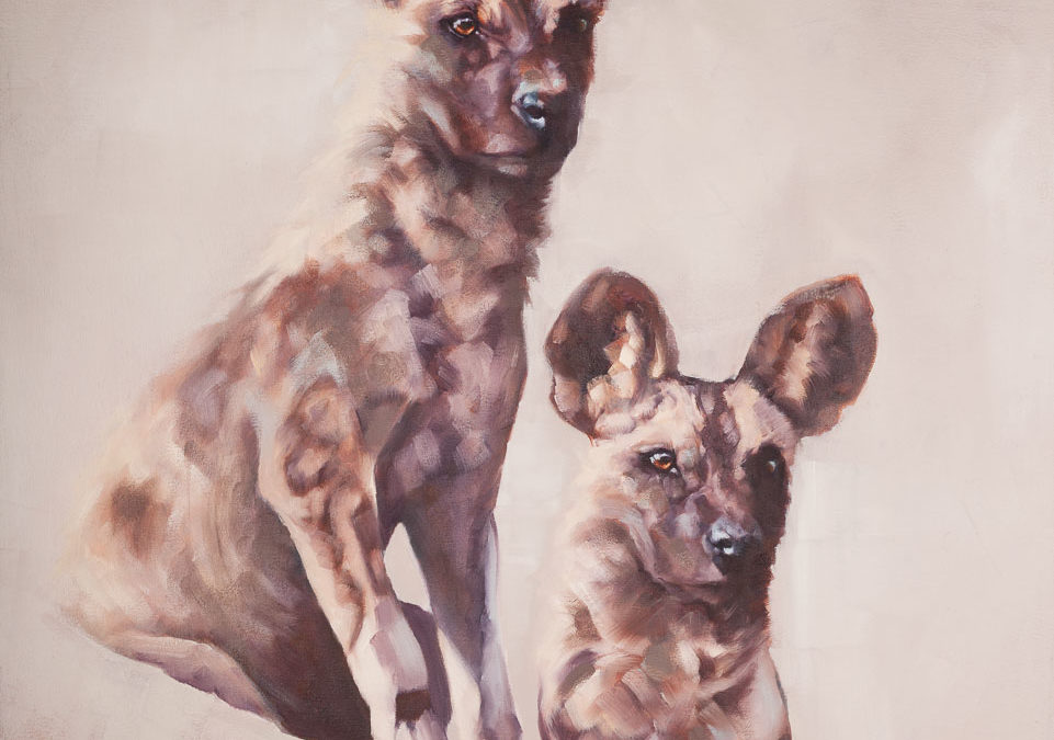 Wild Dog Duo