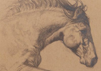 "Taking Flight" Graphite drawing by Wendy Beresford on Strathmore Artist Paper