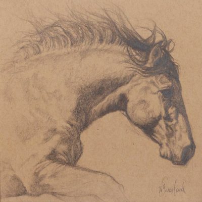 "Taking Flight" Graphite drawing by Wendy Beresford on Strathmore Artist Paper