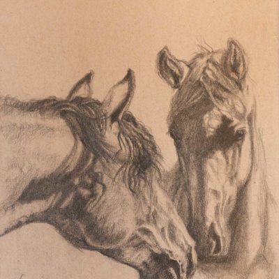 "Overtures" graphite drawing of two horses on Strathmore Artist paper by Wendy Beresford