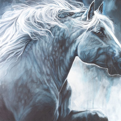 "Majestic", oil painting by Wendy Beresford, 760mm x 1150mm, monochrome horse profile