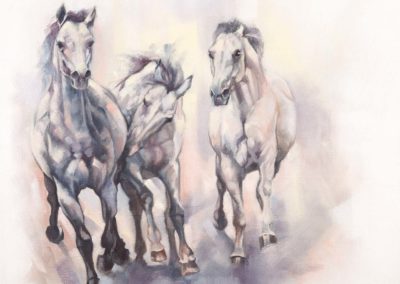 "And the Greys have it", oil painting on canvas, three grey horses galloping, by Wendy Beresford