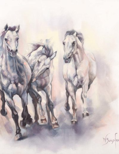 "And the Greys have it", oil painting on canvas, three grey horses galloping, by Wendy Beresford